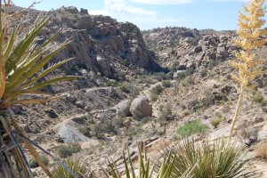 Ravine at the Desert Queen abandoned gold mine.