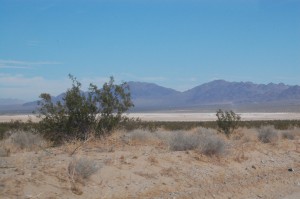 Driving around Dale dry lake.