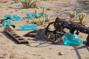 Newt's dashboard with cholla.