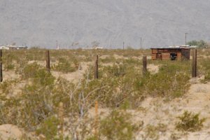 Abandoned homesteader shack out in the creosote.