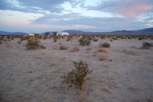 Compound in the distance.