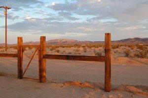 The hour of the long shadows, looking toward the Twentynine Palms mountains, in the distance.