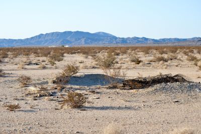 Bedsprings and a bit of mounded earth are all that remains of a live that was lived, for a time, in one of the settler shacks out in Wonder Valley, California.