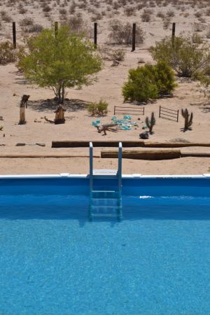 Desert oasis, Wonder Valley, California.