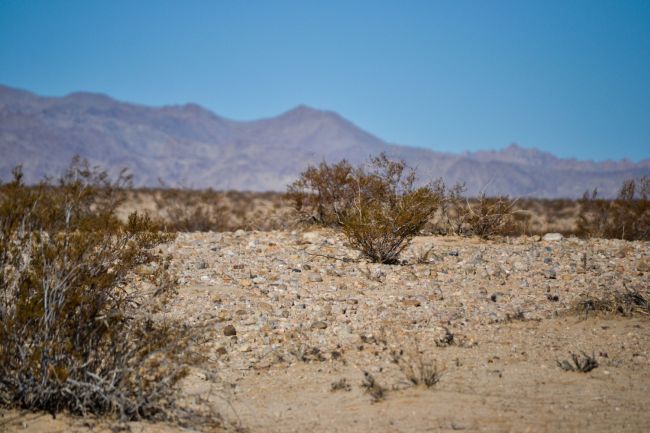 Ancient flow of mud and rocks, Wonder Valley, California.