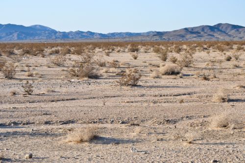 Unmistakeable signs of flowing water in Wonder Valley, California.