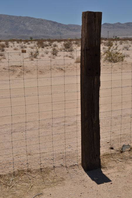 No shadows, no respite, no escape from the brutal sun that burns everything in Wonder Valley, California.