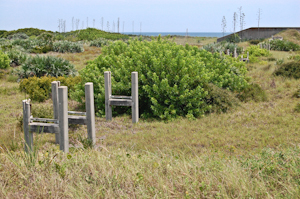 Amid the ruins, as the vegetation strives to reabsorb all of it, Complex 34, Cape Canaveral Air Force Station.