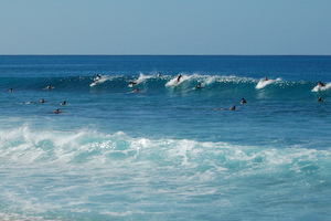 Hawaiian crowd.