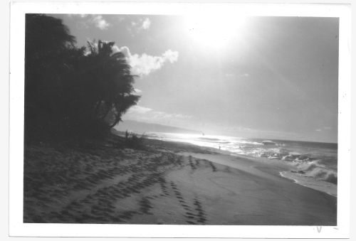 Rocky Point, breaking in the distance, as seen from the beach behind the house I stayed in, back in early '73.