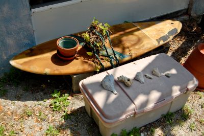 Surfboard Shelf & Shells