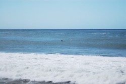 Board rescue from the Tres Palmas rip, down past Little Malibu.